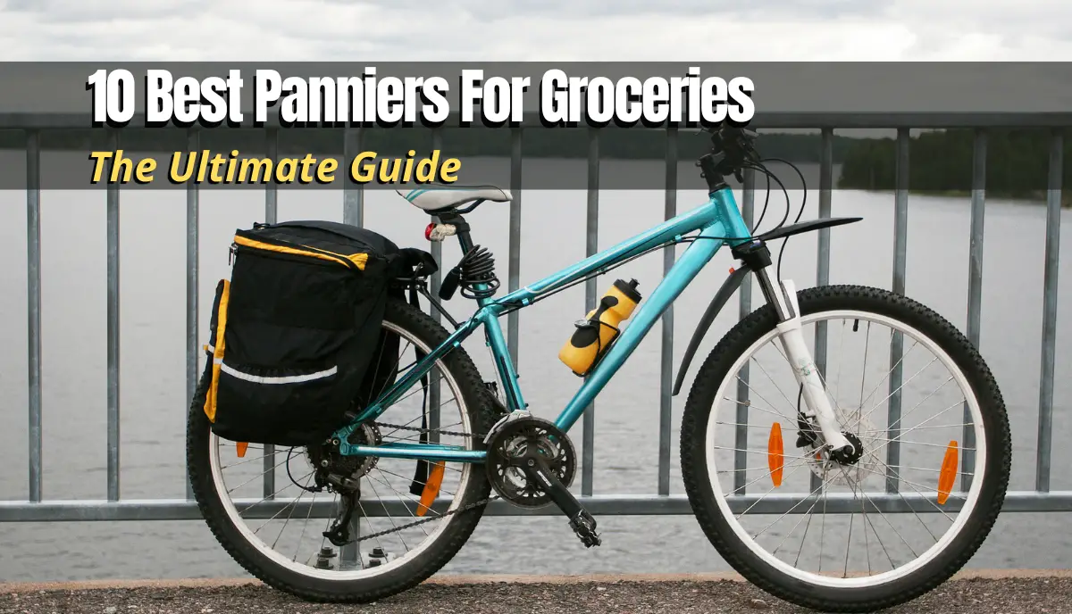 bike pannier for groceries