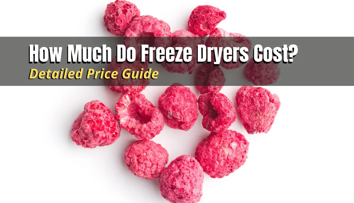 How Much Do Freeze Dryers Cost