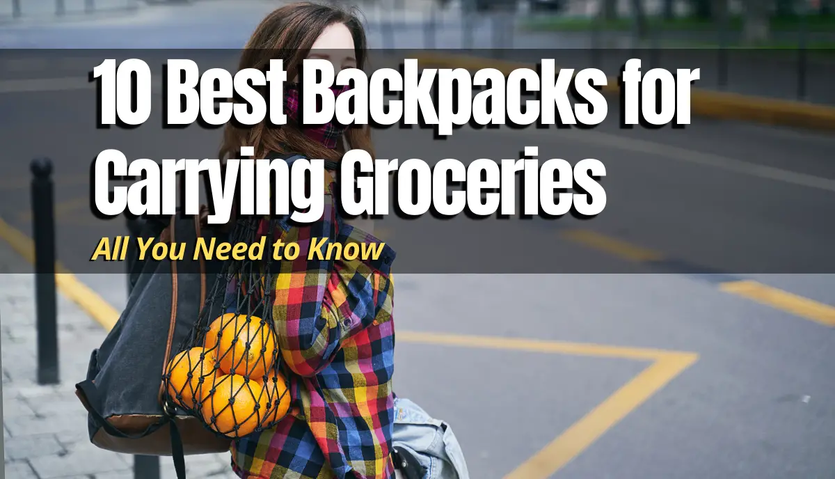 10 Best Backpacks for Carrying Groceries full list