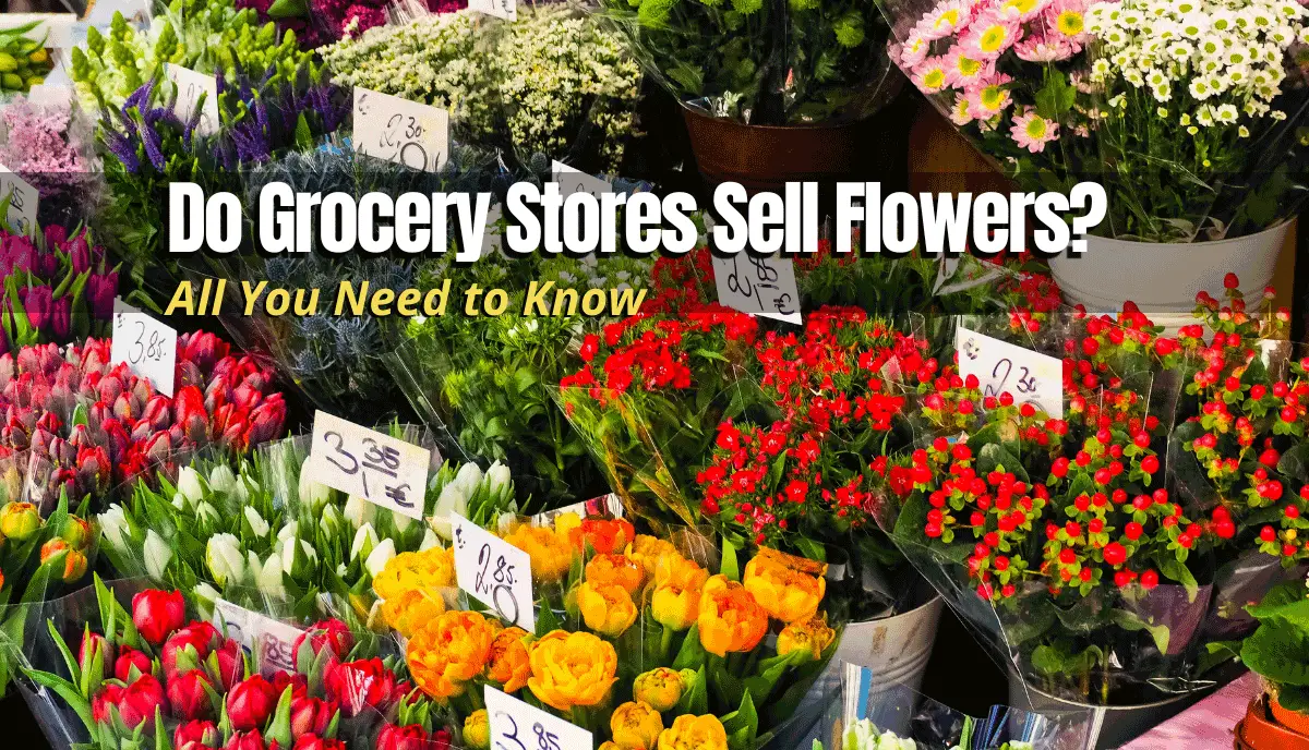 Do Grocery Stores Sell Flowers
