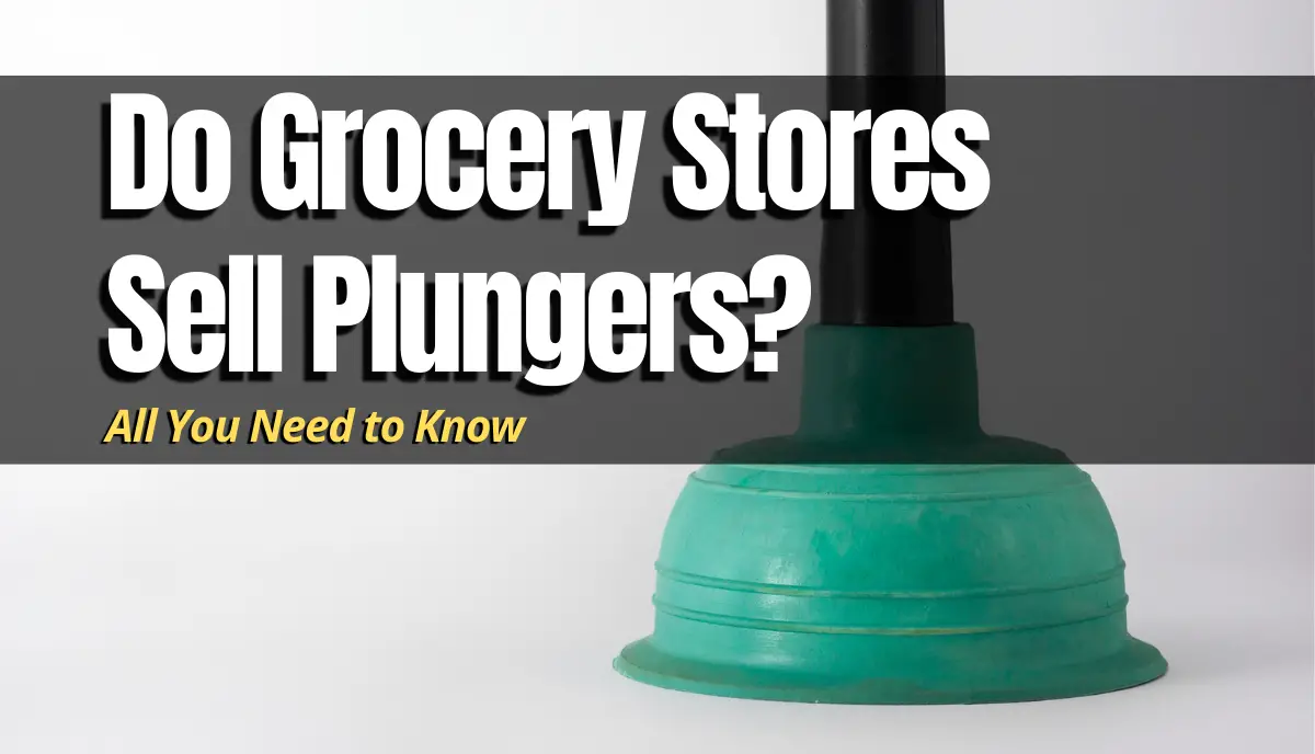 Do Grocery Stores Sell Plungers? answered