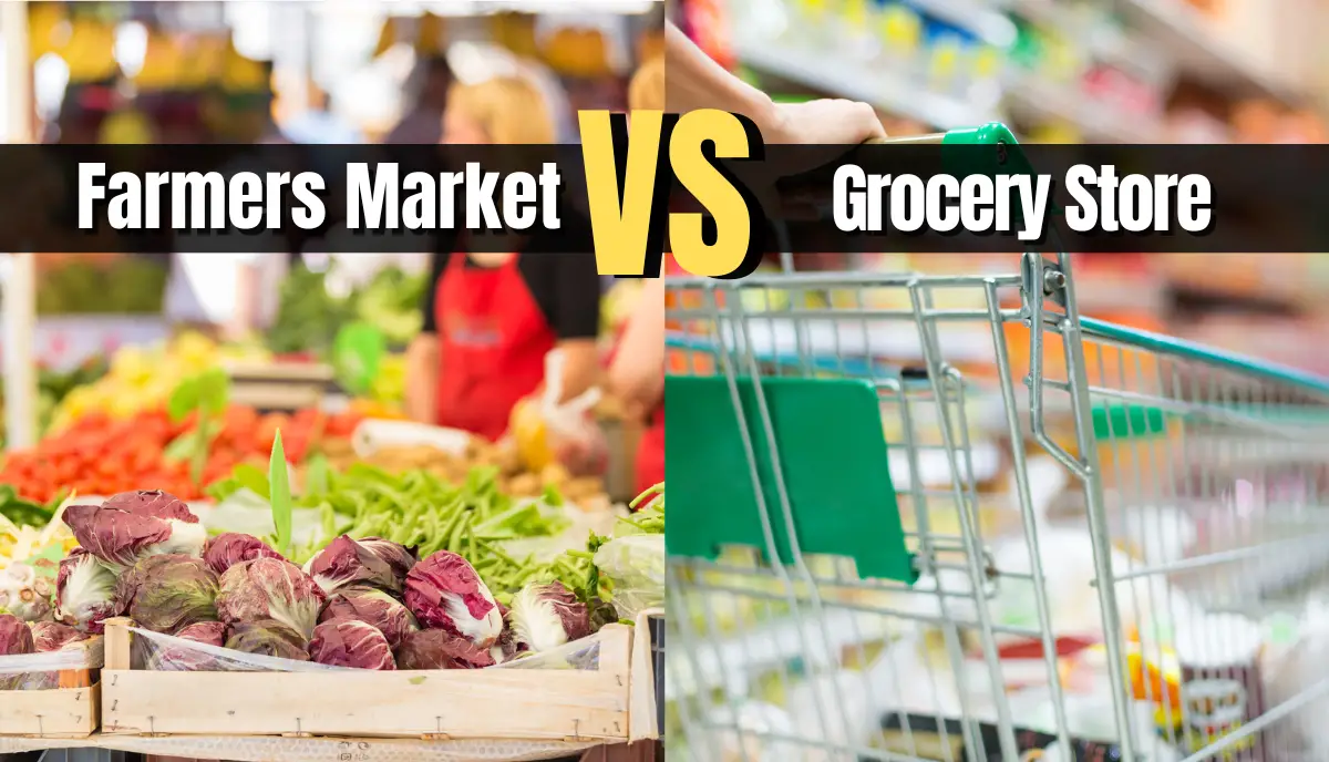 farmers market vs grocery store comparison guide