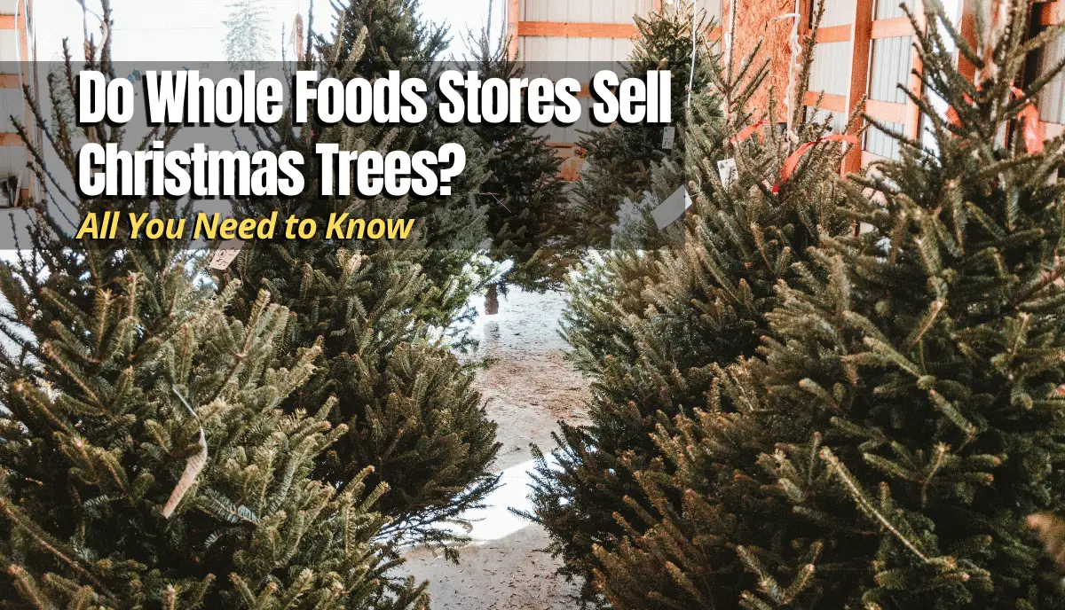 Do Whole Foods Stores Sell Christmas Trees