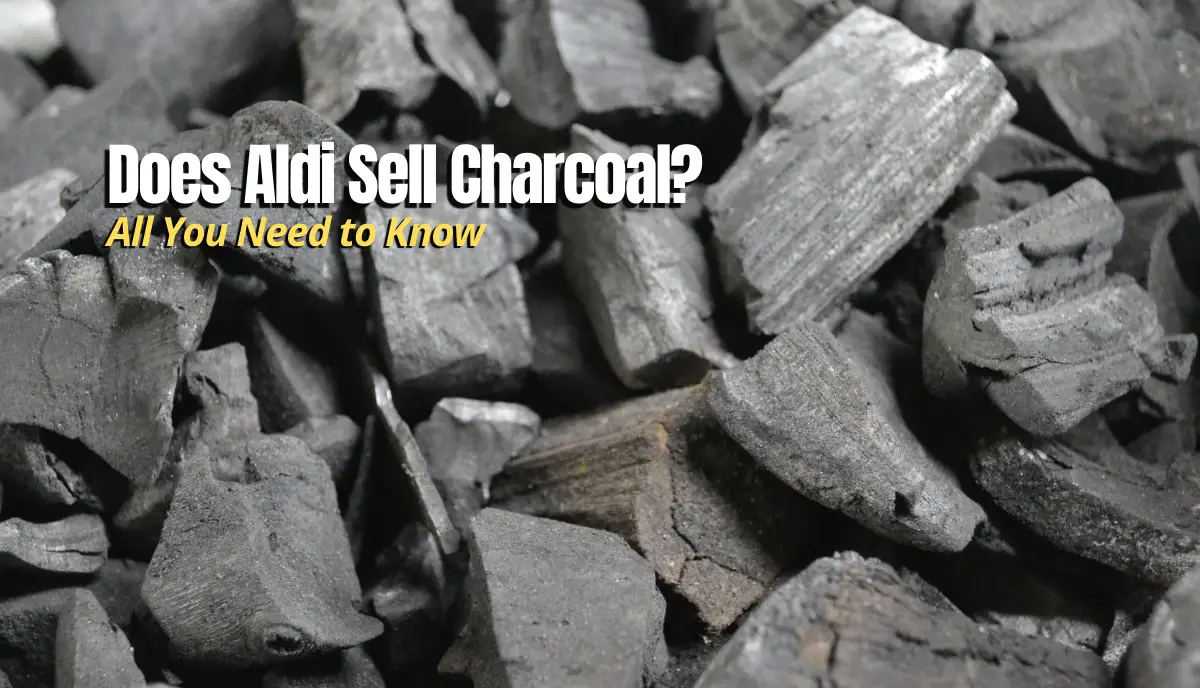 Does Aldi Sell Charcoal