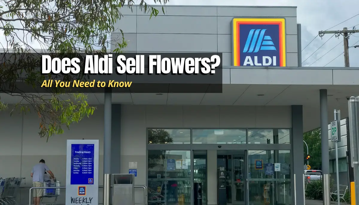 Does Aldi Sell Flowers? answered