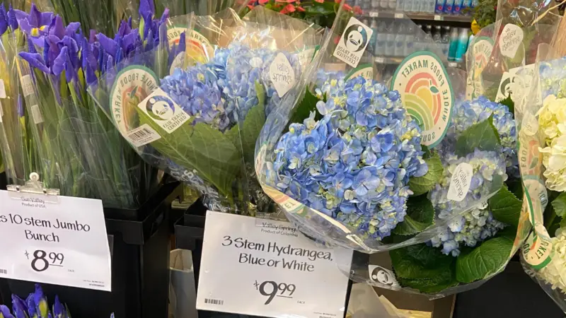 whole foods stems flowers
