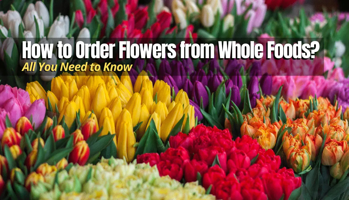How to Order Flowers from Whole Foods