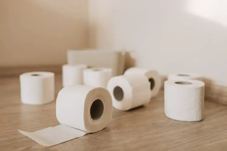 Which toilet paper do plumbers recommend