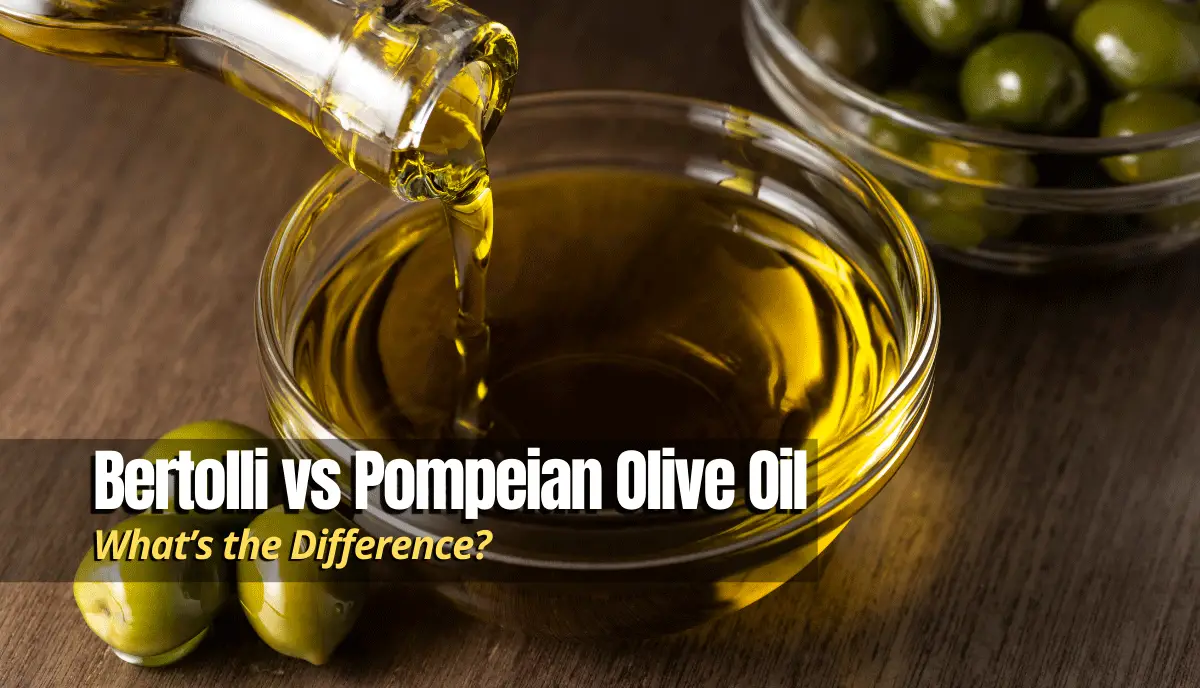 Bertolli vs Pompeian Olive Oil