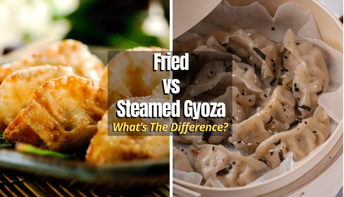 Fried vs Steamed Gyoza