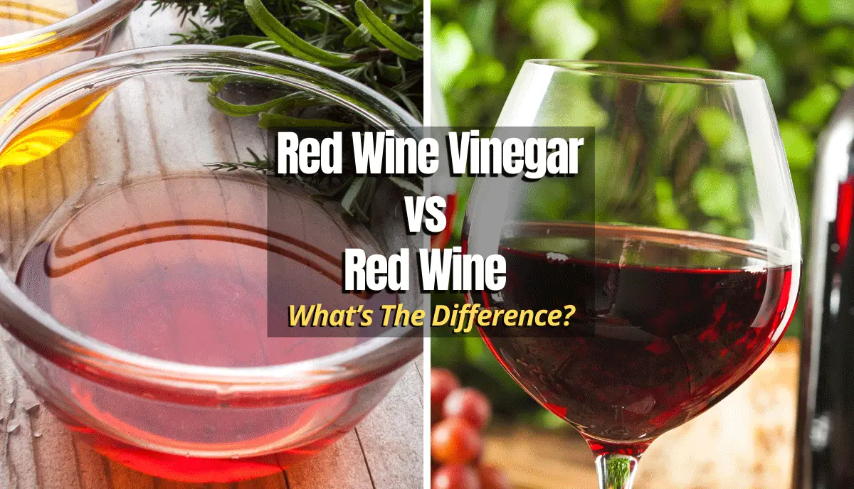 Difference between Red Wine Vinegar and Red Wine