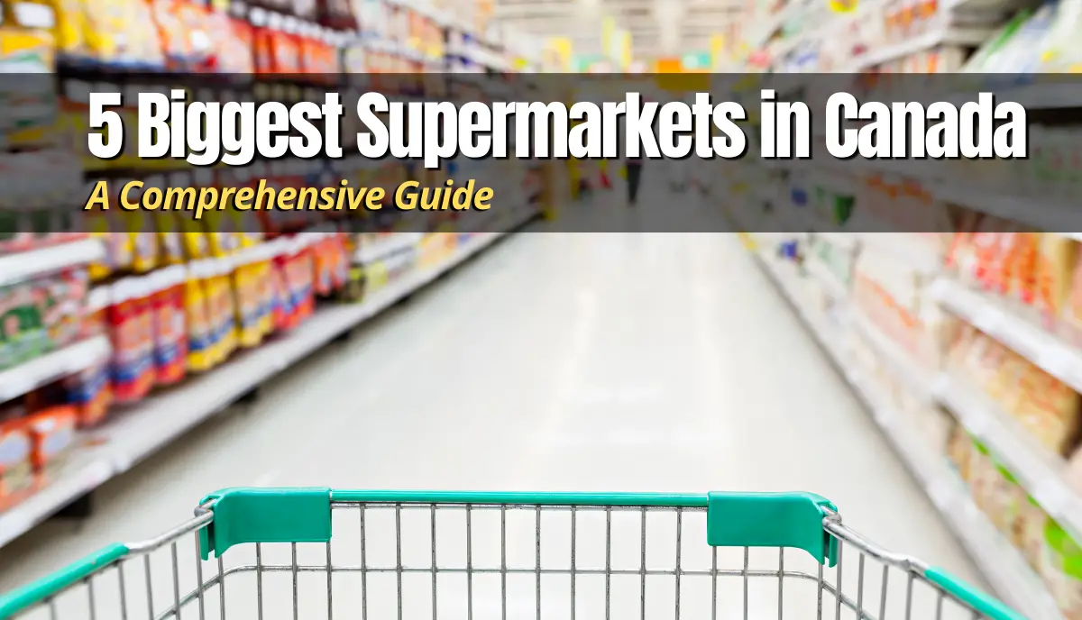5 Biggest Supermarkets in canada